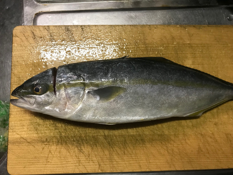 質問に添付された魚の写真