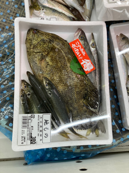 質問に添付された魚の写真