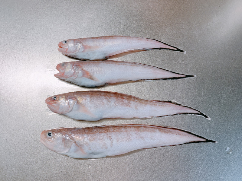 質問に添付された魚の写真