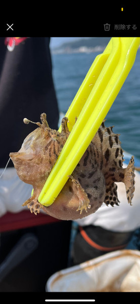 質問に添付された魚の写真