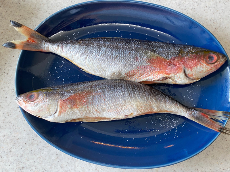質問に添付された魚の写真