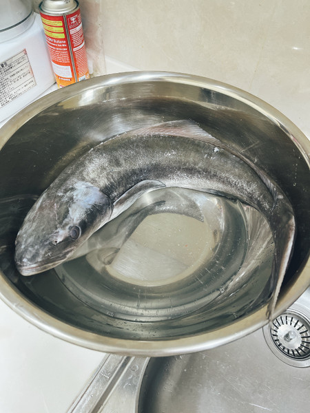 質問に添付された魚の写真