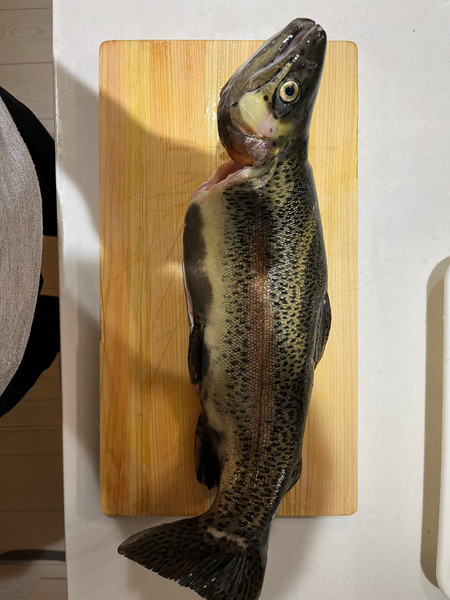 質問に添付された魚の写真