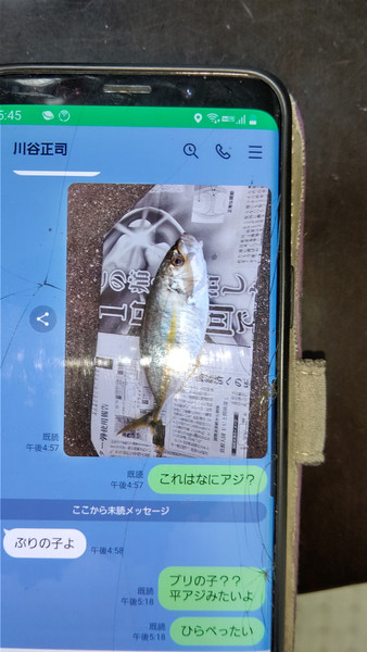 質問に添付された魚の写真