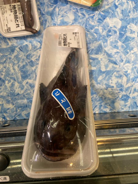 質問に添付された魚の写真