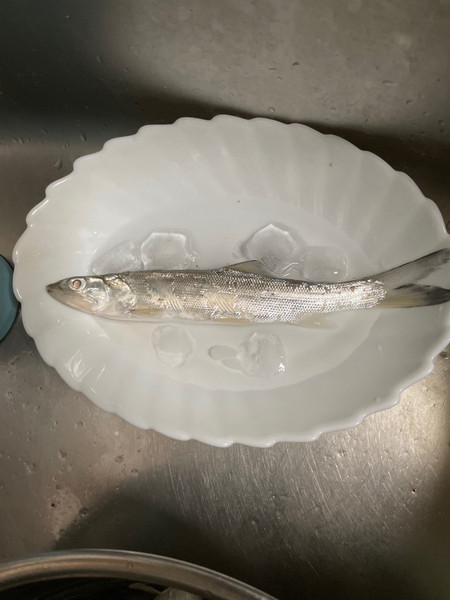 質問に添付された魚の写真