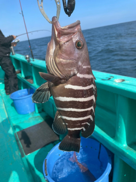 質問に添付された魚の写真