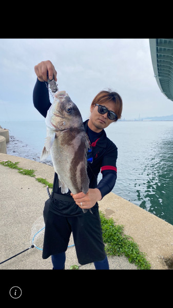 質問に添付された魚の写真