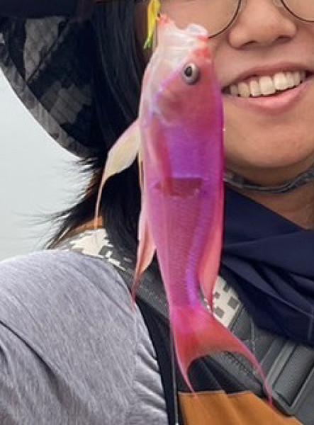 質問に添付された魚の写真