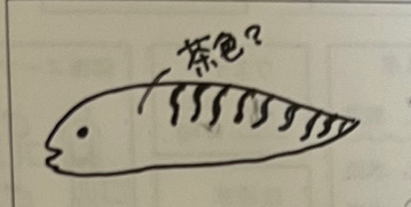 質問に添付された魚の写真