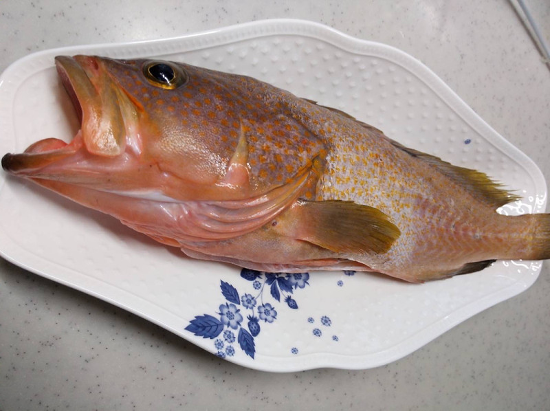 質問に添付された魚の写真