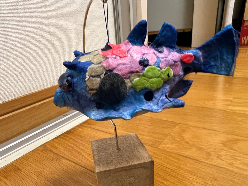 質問に添付された魚の写真