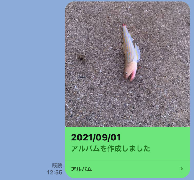 質問に添付された魚の写真
